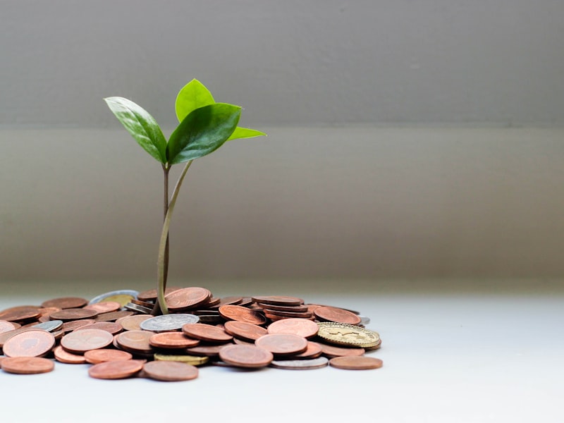 Saving and planning for income tax